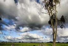 新春走基层|铁路南京南站失物招领处“爆仓”了,看工作人员如何把失物“送回家”.