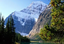 贴脸开大!球迷在爱奇艺体育线下直播中问能不能免费直播国足.