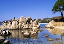 人人体育:张楚桐:中国短道速滑女队一直在追赶男队 接力金牌来之不易为未来注入信心.